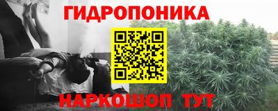 Альфа ПВП Берёзовский